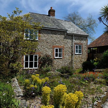 Trill Cottage Musbury Екстер'єр фото
