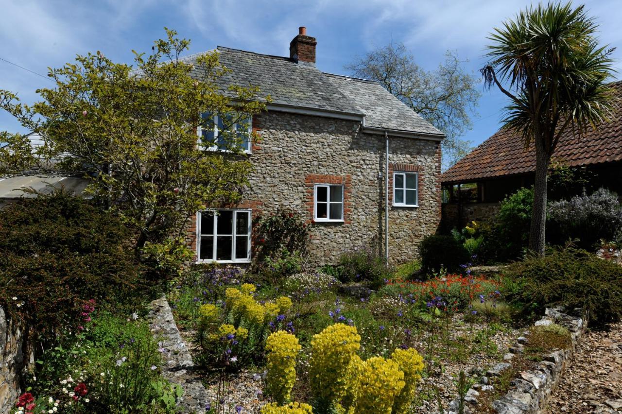 Trill Cottage Musbury Екстер'єр фото